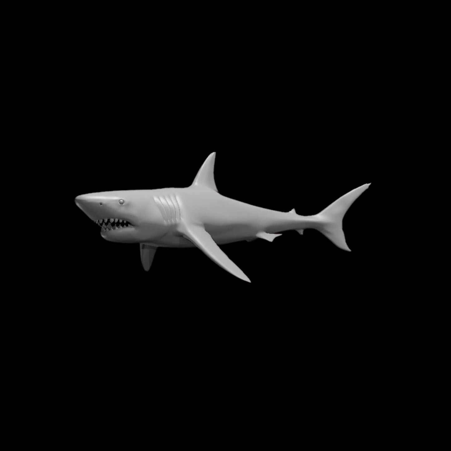 Reef Shark (1pc)