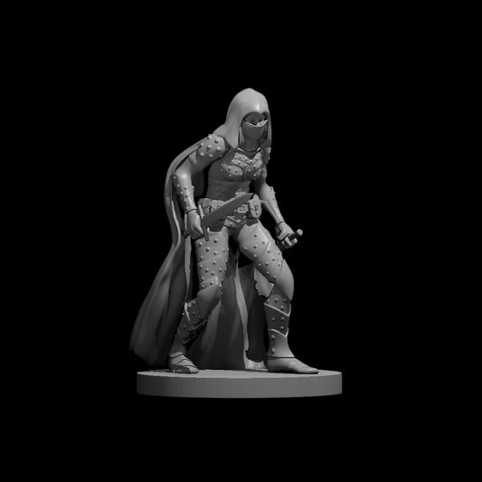 Assassin [Female] (1pc)