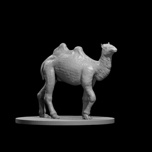 Camel (1pc)