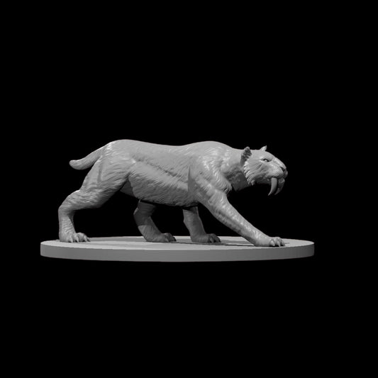 Sabre-tooth Tiger (1pc)