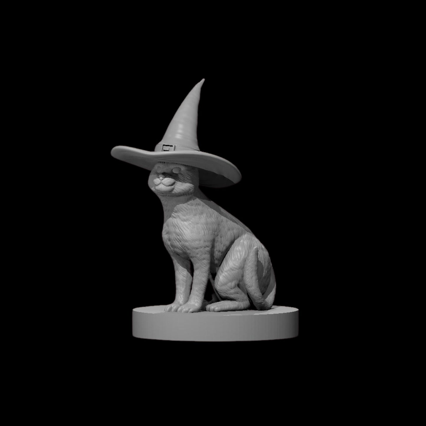 Witch Cat (1pc)