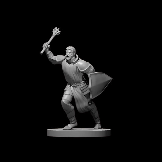 Priest [Male] (1pc)